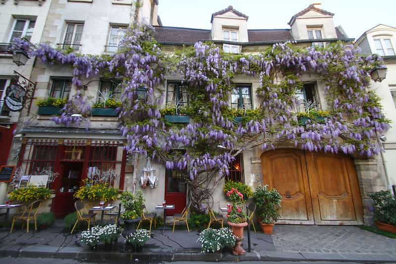 découvrez la rue d'arcole, une artère emblématique de paris alliant charme historique et vie moderne. flânez parmi ses cafés pittoresques, boutiques uniques et profitez de l'atmosphère animée qui fait le charme de la capitale.