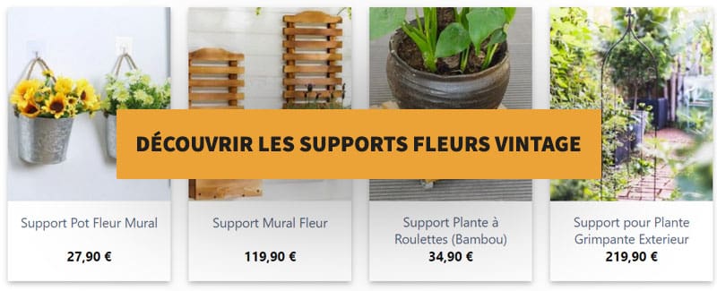découvrez notre guide complet sur les plantes commençant par la lettre z : conseils d’entretien, fiches détaillées et astuces pour cultiver ces plantes rares dans votre jardin ou intérieur.