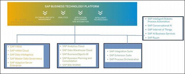 Devenir consultant SAP : le guide ultime avec les conseils experts de Dougs