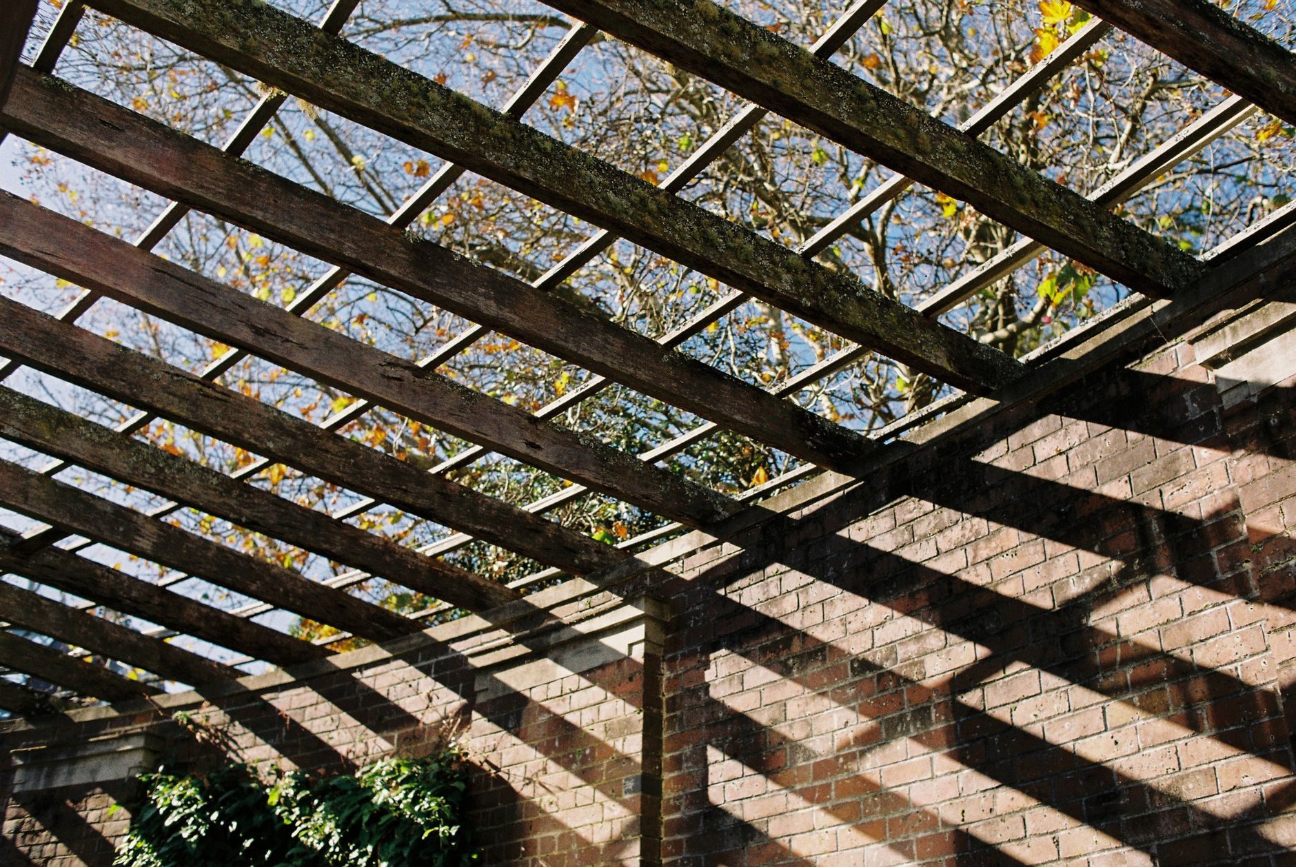 Mon voisin a fixé sa pergola à mon mur sans mon permission : quelles sont les règles légales ?